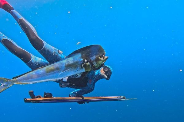 Remote-Island-Expeditions-Full-Service-Spearfishing-Experience