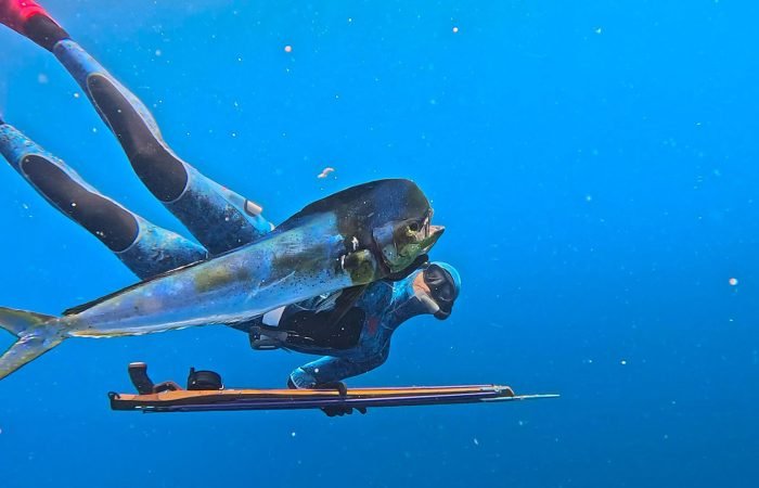 Remote-Island-Expeditions-Full-Service-Spearfishing-Experience